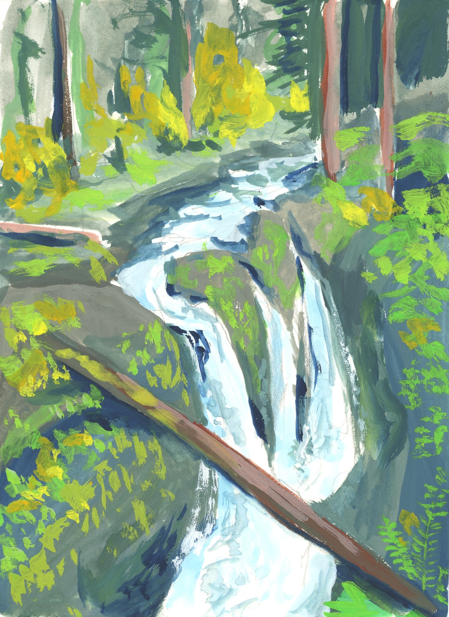 Olympic National Park Sol Duc Falls - Matted and Framed