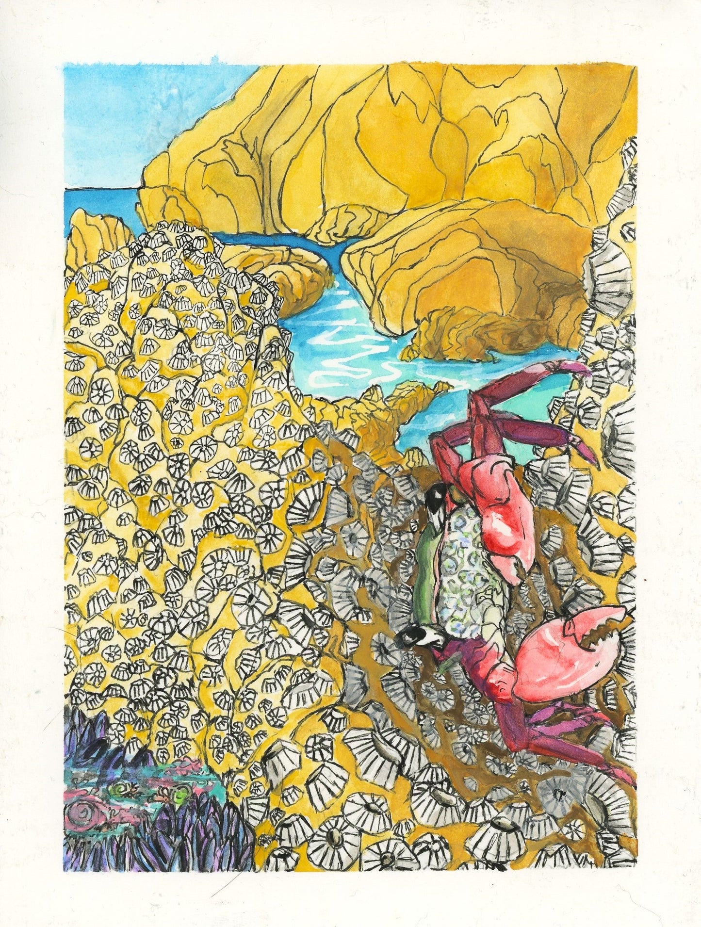 Tidepool Crab