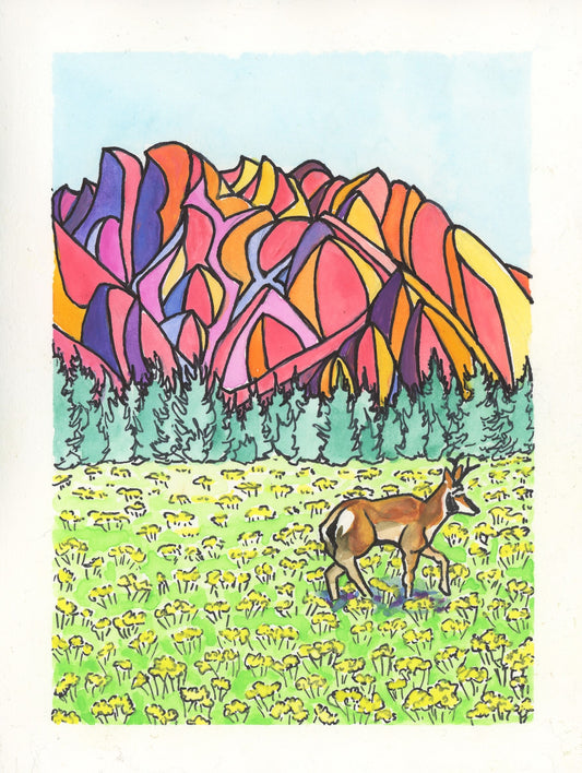 Antelope Meadow