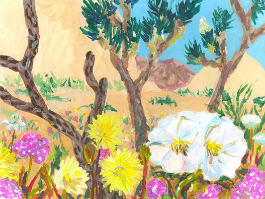 Joshua Tree Wildflowers