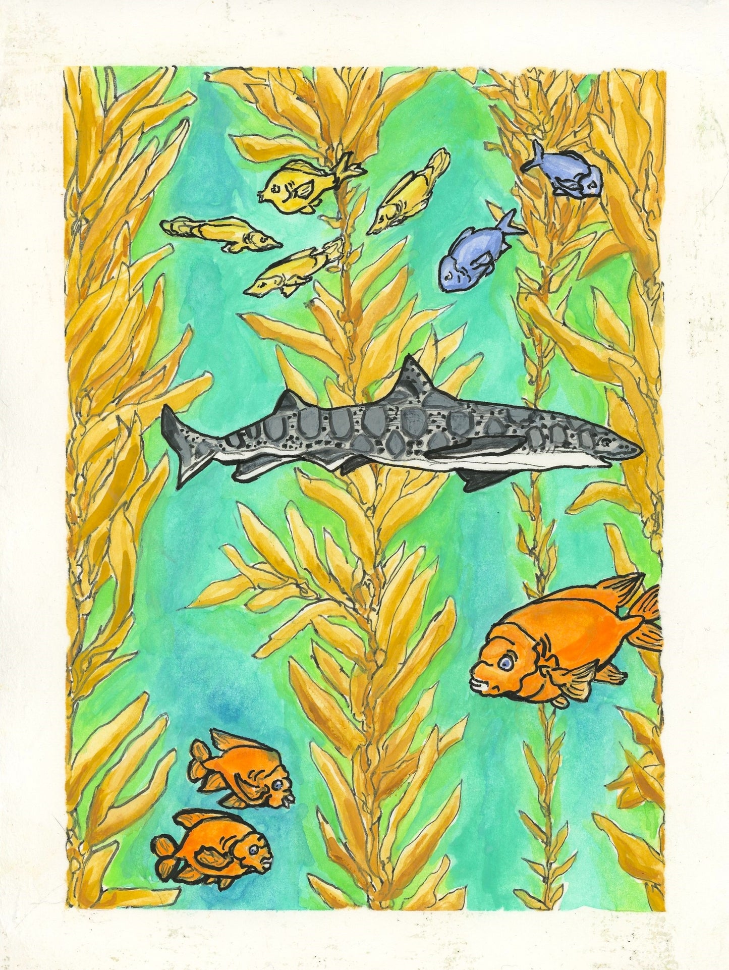 Kelp Forest Leopard Shark