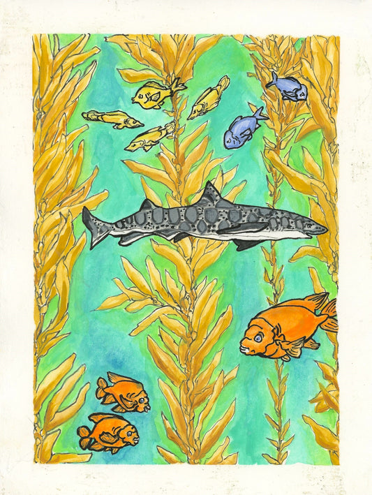 Kelp Forest Leopard Shark